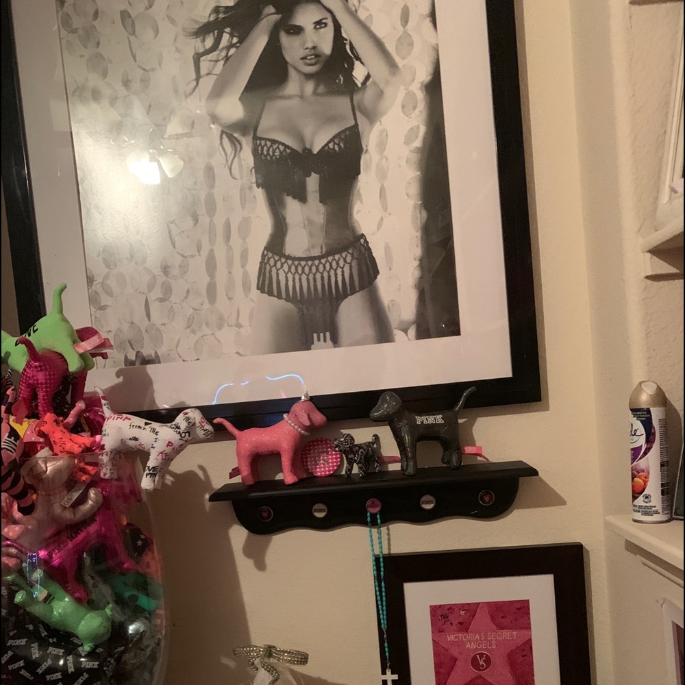 My collection